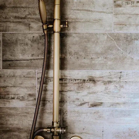 Prvosienka Oravská Lesná