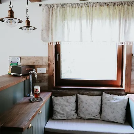 Prvosienka Oravská Lesná